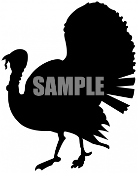 Bird Clipart