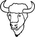 Buffalo Clipart