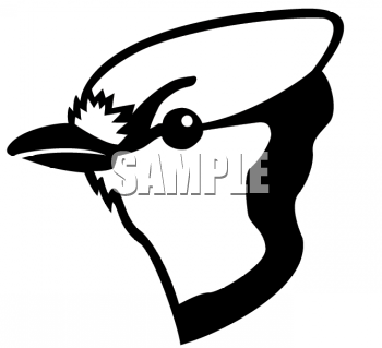 Bird Clipart