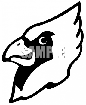 Bird Clipart