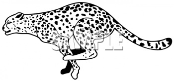 Big Cat Clipart