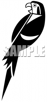 Bird Clipart