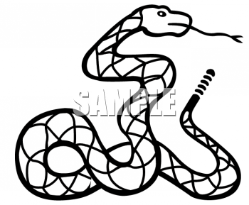 Reptile Clipart