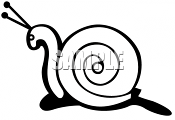 Mollusk Clipart