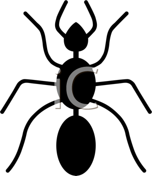 Insect Clipart