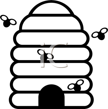 Insect Clipart