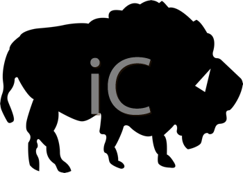 Buffalo Clipart