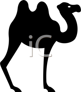 Camel Clipart