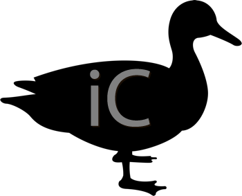 Bird Clipart