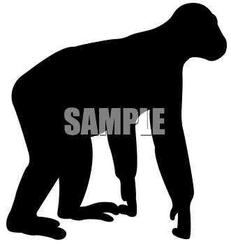 Primate Clipart