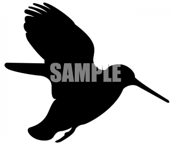 Bird Clipart