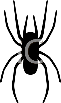 Insect Clipart