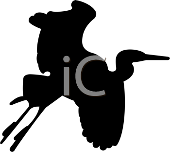 Bird Clipart