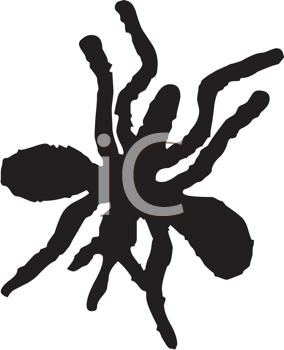 Insect Clipart