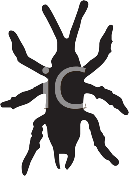 Insect Clipart