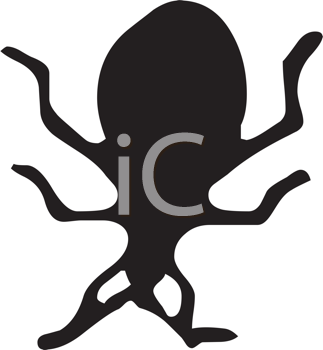 Insect Clipart