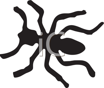 Insect Clipart