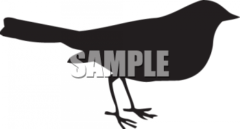 Bird Clipart