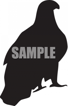 Bird Clipart