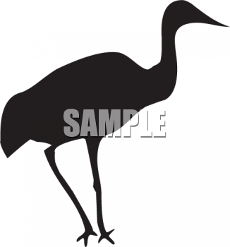 Bird Clipart