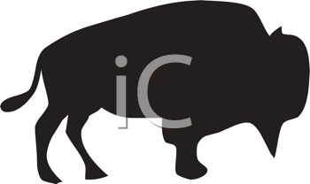 Buffalo Clipart