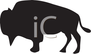 Buffalo Clipart