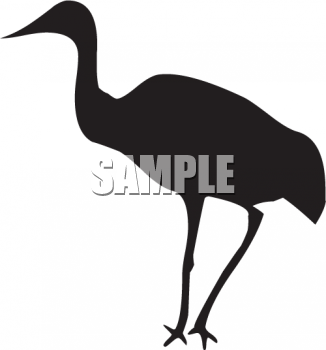 Bird Clipart