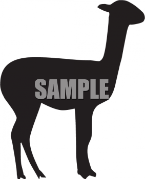 Camel Clipart