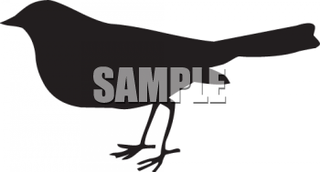 Bird Clipart