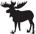 Deer Clipart