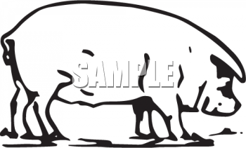 Farm Animal Clipart