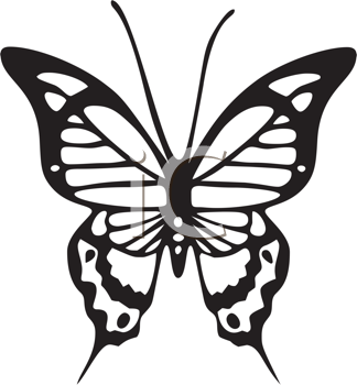 Insect Clipart