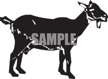 Farm Animal Clipart