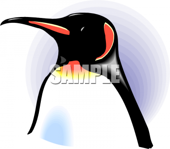 Bird Clipart