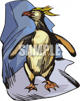 Bird Clipart