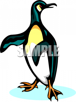 Bird Clipart