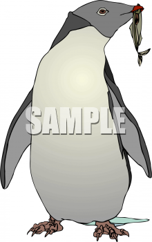 Aquatic Animals Clipart