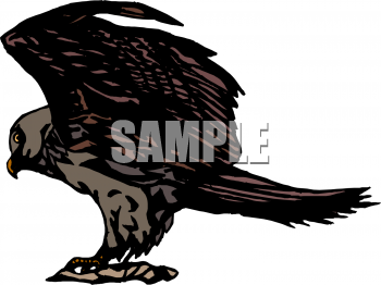 Bird Clipart