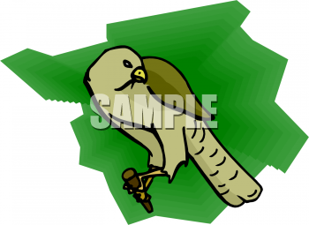 Bird Clipart