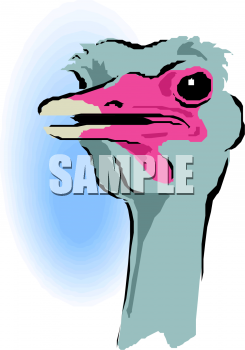 Bird Clipart