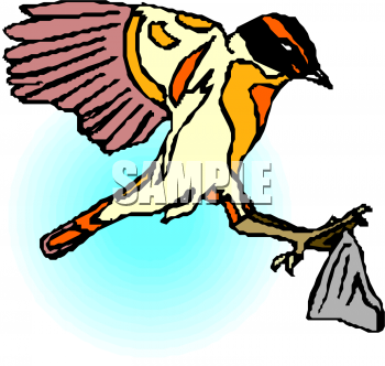 Bird Clipart