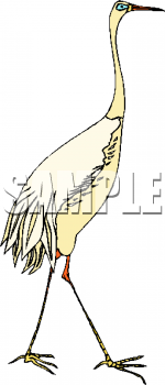 Bird Clipart