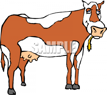 Farm Animal Clipart