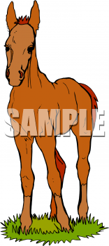 Horse Clipart