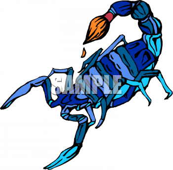 Insect Clipart