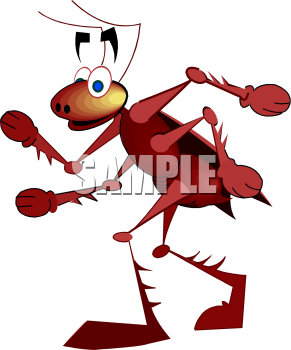 Insect Clipart