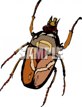 Insect Clipart