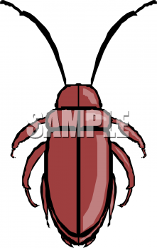 Insect Clipart