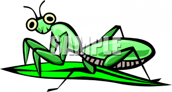 Insect Clipart