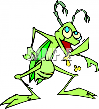 Insect Clipart